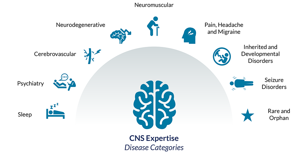 cns-1.png