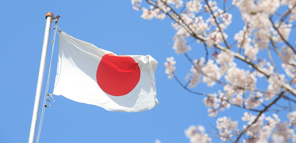 Reversing the Tide: Japan's Promising FY2024 Drug Pricing Reform