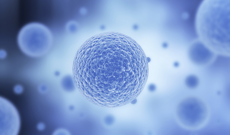2025 Marks Technology, Regulatory, and Disease Area Shifts in Cell and Gene Therapy