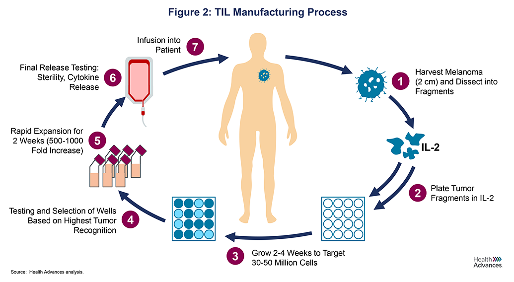 ttl-graphics-figure2.png