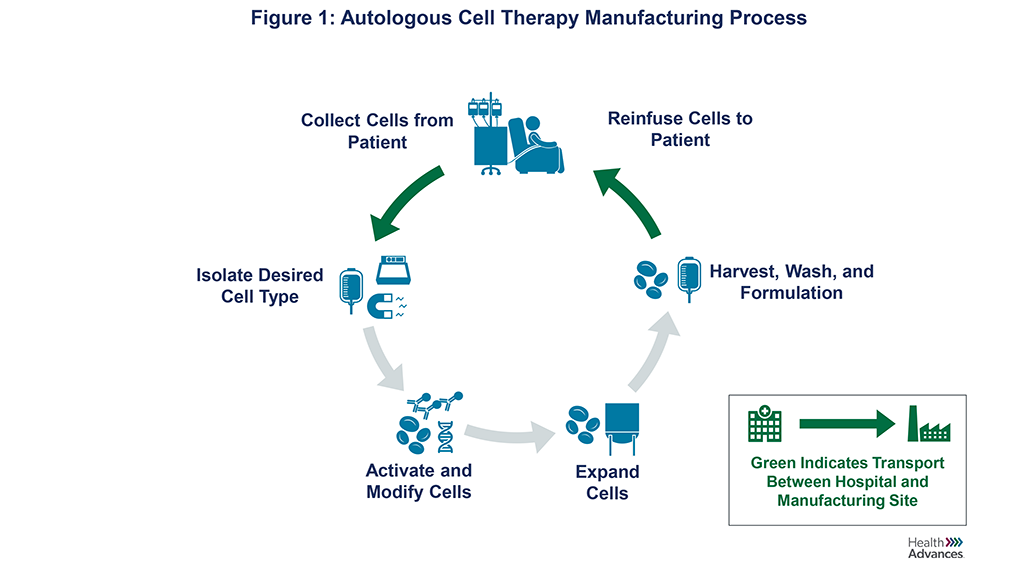 cell-therapy-1.png